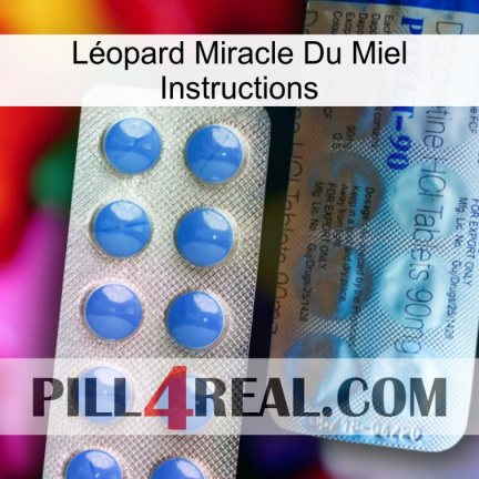 Léopard Miracle Du Miel Instructions 40